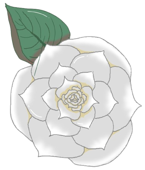camelia