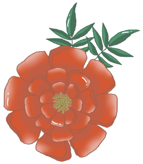 camelia